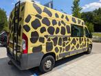 Leuke unieke 3p giraffen camper - Fiat Ducato L2H2, Auto's, Voorwielaandrijving, Stof, 2500 kg, Elektrische ramen