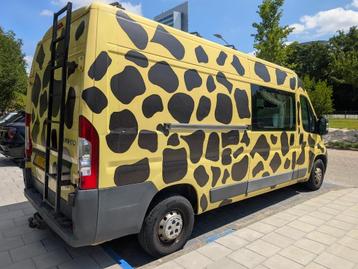 Unieke 2/3p giraffen camper bus - Fiat Ducato L3H2 - 2008 beschikbaar voor biedingen