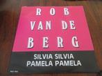 Rob van de Berg – Silvia Silvia / Pamela Pamela, Cd's en Dvd's, Vinyl Singles, Nederlandstalig, Gebruikt, Verzenden