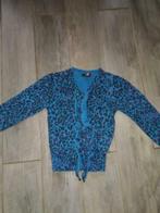 Vingino Vest, Ophalen of Verzenden, Zo goed als nieuw, Jongen, Trui of Vest