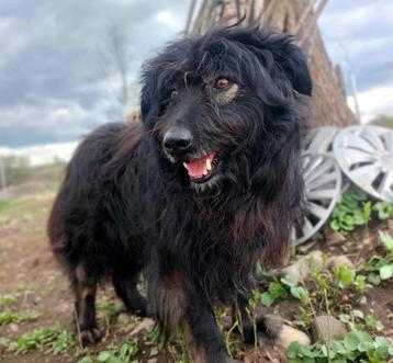 SOCIALE RELAXTE PRACHTIGE REU BLACK EEN WARE AANWINST beschikbaar voor biedingen