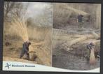 Werkendam Biesbosch Museum Riet Snijden Ongelopen, Verzamelen, Ansichtkaarten | Nederland, Verzenden, 1980 tot heden, Ongelopen