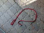 Honden riem, Ophalen of Verzenden, Nieuw