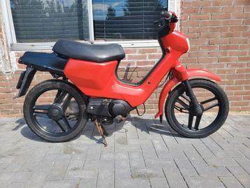 Honda wallaroo snorfiets! beschikbaar voor biedingen