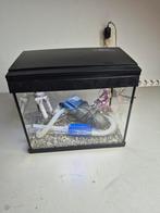 Superfish aquarium compleet, Dieren en Toebehoren, Vissen | Aquaria en Toebehoren, Ophalen, Zo goed als nieuw, Leeg aquarium