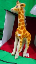 Giraffe Linda - Steiff, Overige typen, Ophalen of Verzenden, Zo goed als nieuw, .