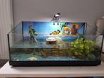 Aquarium schildpad, Kooi, Minder dan 75 cm, Zo goed als nieuw, Ophalen
