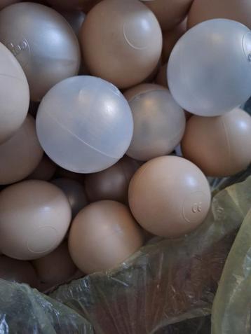 Misiq Ballenbak met Ballen beschikbaar voor biedingen