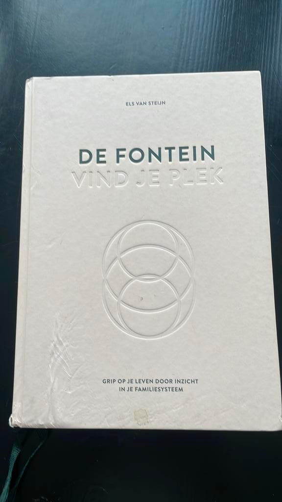 Els van Steijn - De fontein, vind je plek, Boeken, Psychologie, Gelezen, Ontwikkelingspsychologie, Ophalen of Verzenden