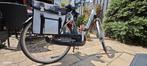 Giant Twist E bike, Ophalen, Gebruikt, Giant