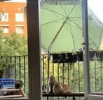 dubbelzijdige parasol met kantelfunctie Ø155 / Ø180 cm, Ophalen, Zo goed als nieuw, 1 tot 2 meter