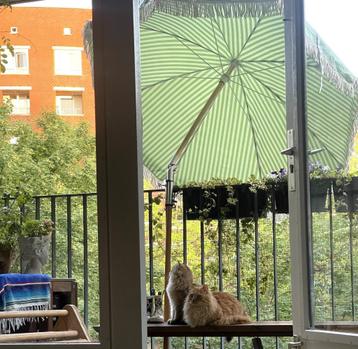 dubbelzijdige parasol met kantelfunctie Ø155 / Ø180 cm beschikbaar voor biedingen