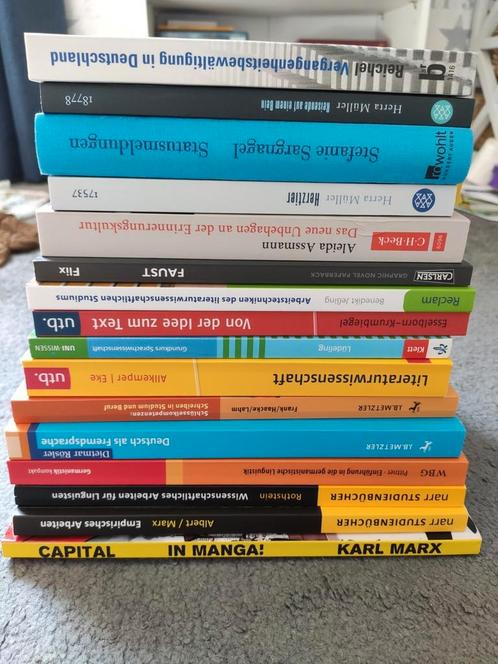 Studieboeken Duitse taal en cultuur, Boeken, Studieboeken en Cursussen, Zo goed als nieuw, Alpha, Ophalen of Verzenden