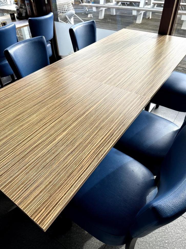 Horecatafels 22 stuks, Huis en Inrichting, Tafels | Eettafels, Gebruikt, 50 tot 100 cm, 200 cm of meer, Vier personen, Rechthoekig