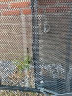 Auping bedbodem - 160x210, Huis en Inrichting, Slaapkamer | Matrassen en Bedbodems, Ophalen, 210 cm, Tweepersoons, Zo goed als nieuw