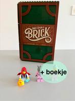 LEGO Uitklapboek (21315) + Boekje, Ophalen of Verzenden, Zo goed als nieuw, Complete set, Lego