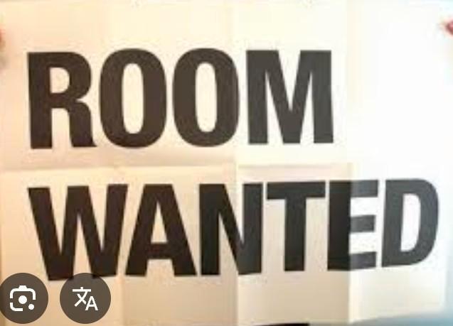 Kamer / Studio gezocht – max. €850 p/m, Huizen en Kamers, Kamers te huur