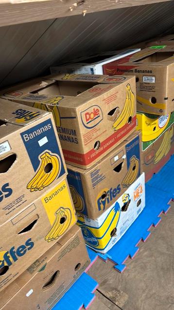 Bananendozen beschikbaar voor biedingen