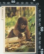 Sticker: Esso - Wolaapje, Verzamelen, Ophalen of Verzenden, Zo goed als nieuw, Dier en Natuur