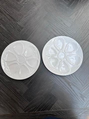 2 Witte Oesterborden beschikbaar voor biedingen