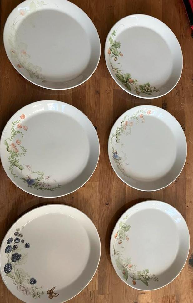 Wedgwood Marjolein Bastin Libelle Bosvruchten grote borden, Huis en Inrichting, Keuken | Servies, Gebruikt, Bord(en), Wedgwood
