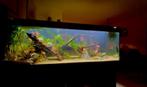 Dennerle Trocal Led 160cm + Controller - Aquariumverlichting, Dieren en Toebehoren, Vissen | Aquaria en Toebehoren, Ophalen of Verzenden