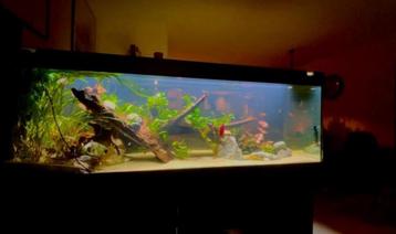 Dennerle Trocal Led 160cm + Controller - Aquariumverlichting beschikbaar voor biedingen
