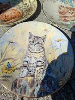 Prachtige borden Kittens Classics Tiger's Fancy, Ophalen of Verzenden