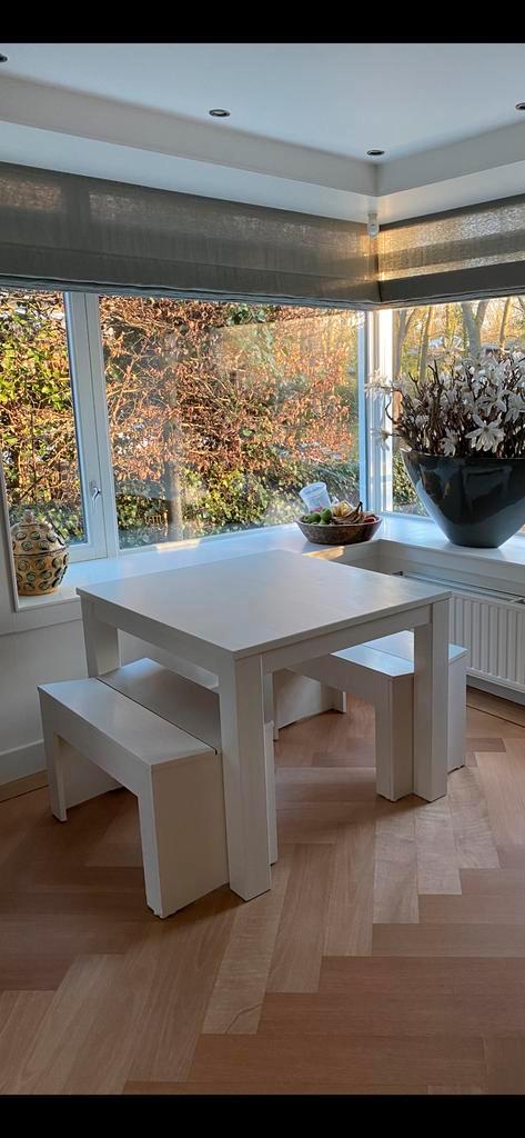 Fantastische eettafel met bankjes!, Huis en Inrichting, Tafels | Eettafels, Gebruikt, 50 tot 100 cm, 100 tot 150 cm, Rechthoekig