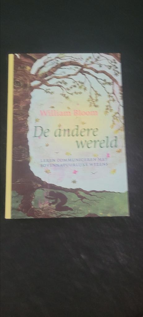 De andere wereld, Boeken, Esoterie en Spiritualiteit, Nieuw, Achtergrond en Informatie, Spiritualiteit algemeen, Ophalen of Verzenden