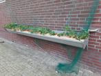 Duurzame aardbeien plantengoot rvs, Tuin en Terras, Ophalen of Verzenden