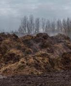 Mest pieren van geit/paard gezocht regio Beek/Schimmert, Ophalen, Mest