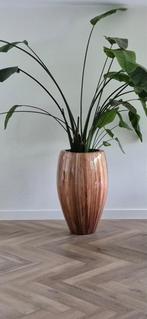 Hoge bloempot fineerhout van bananenboom Flowerfeldt, Tuin en Terras, Bloempotten, Ophalen, Overige materialen, Gebruikt, 40 cm of meer
