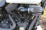 Harley-Davidson Dyna Fat Bob FXDF, Motoren, 2 cilinders, 1690 cc, Chopper, Bedrijf