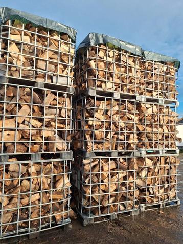 Droog haardhout, essenhout TE KOOP beschikbaar voor biedingen