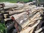 Stamhout berk kers brandhout kachel hout, 6 m³ of meer, Ophalen, Overige houtsoorten, Stammen