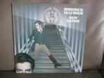 Roderick Falconer – New Nation, Ophalen of Verzenden, Zo goed als nieuw, 12 inch, Poprock