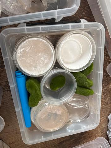 Terrarium benodigdheden beschikbaar voor biedingen