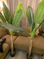 2 grote bananen boom kunst plant groot nep plant, Huis en Inrichting, Ophalen, Zo goed als nieuw
