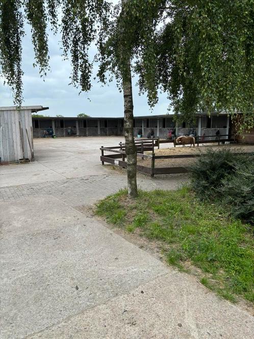 Pensionstalling klein schalig, Dieren en Toebehoren, Stalling en Weidegang