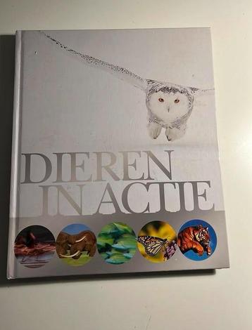 David Burnie - Dieren in actie beschikbaar voor biedingen