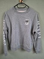 Sweatshirt , grijs,maat XXS, Andy Warholl,, Kleding | Dames, Andy warholl, Ophalen of Verzenden, Zo goed als nieuw, Maat 34 (XS) of kleiner