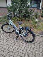 Batavus Dinsdag E-go Exclusive - Nieuw!, Ophalen, Batavus, Nieuw, 51 tot 55 cm