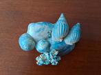 Broche met Schelpen - Uniek Handgemaakt Sieraad, Overige materialen, 4 tot 7 cm, Blauw, Ophalen of Verzenden