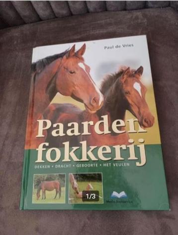 Paardenfokkerij Paul de Vries beschikbaar voor biedingen