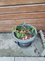 Bloempot, Ophalen, Gebruikt, Rond