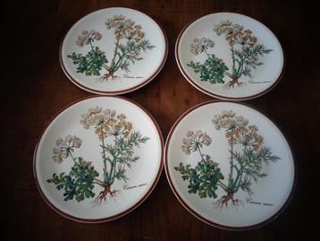 Villeroy & Boch Botanica gebaksbordjes Carum Carvi, nieuw 4  beschikbaar voor biedingen