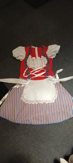 Hollands meisje, Ophalen of Verzenden, Zo goed als nieuw, Maat 42/44 (L), Carnaval