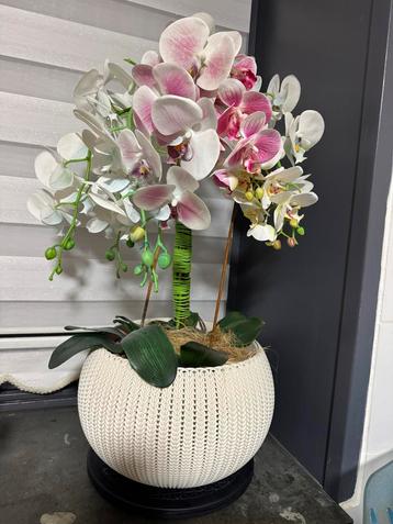 Kunst Orchidee in Pot beschikbaar voor biedingen