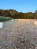 Mooie eerste snede midi baaltjes hooi, Dieren en Toebehoren, Ophalen, Vee